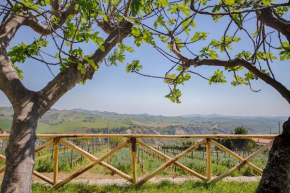 La Terrazza sul Vigneto Offida